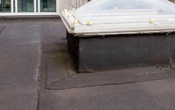 disadvantages of Steynton flat roofs