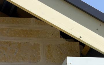 soffit repair Steynton