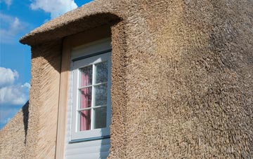 Steynton thatch roof disadvantages