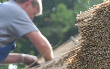 professional Steynton thatchers