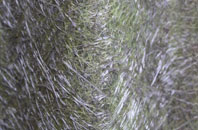 Steynton fibreglass roof work