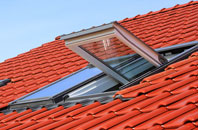 Steynton roof window